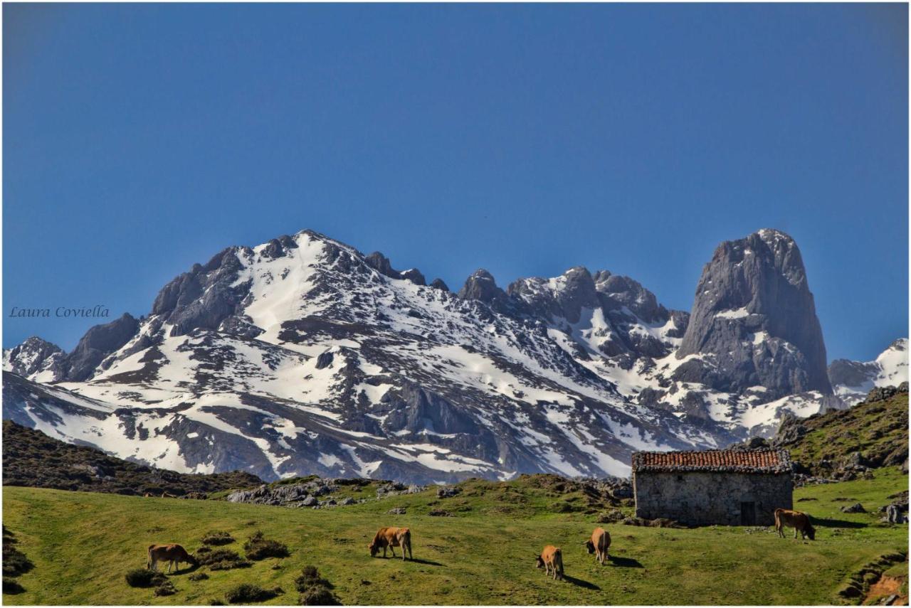 Los Campos Vivienda Vacacional Onís エクステリア 写真